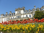 FZ005176 Red and orange tulips in Dyffryn Gardens.jpg